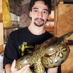 Трагедия: блогер умер от укуса змеи в прямом эфире