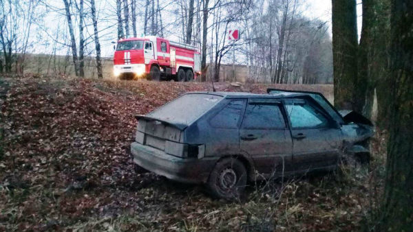 В Татарстане авто вылетело в кювет и врезалось в дерево, водитель пострадал (ФОТО)