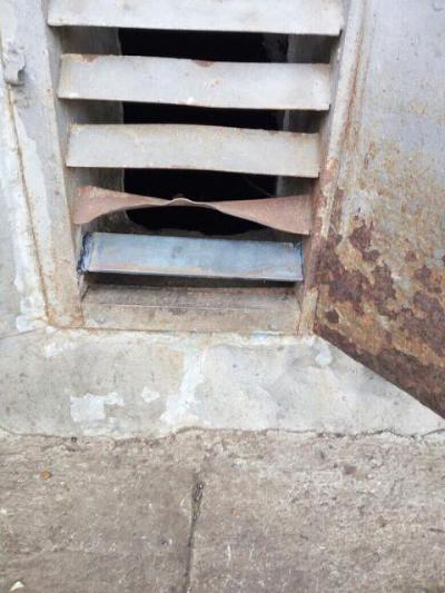 За решеткой в подвале челнинского дома погибают котята (ФОТО)