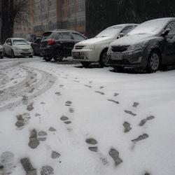 На Новый год жителей Казани ждет аномально теплая погода