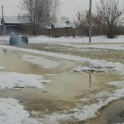 В Татарстане бобры затопили деревню (ФОТО, ВИДЕО)