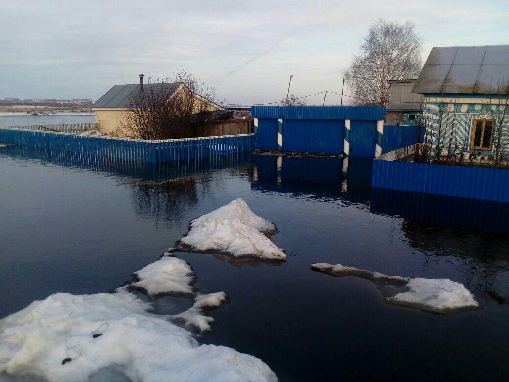 В селе Большие Кокузы Апастовского района талыми водами затопило жилой дом (ФОТО)