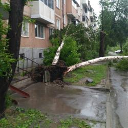 Ураган в Татарстане: поваленные деревья, сорванные крыши (ФОТО, ВИДЕО)