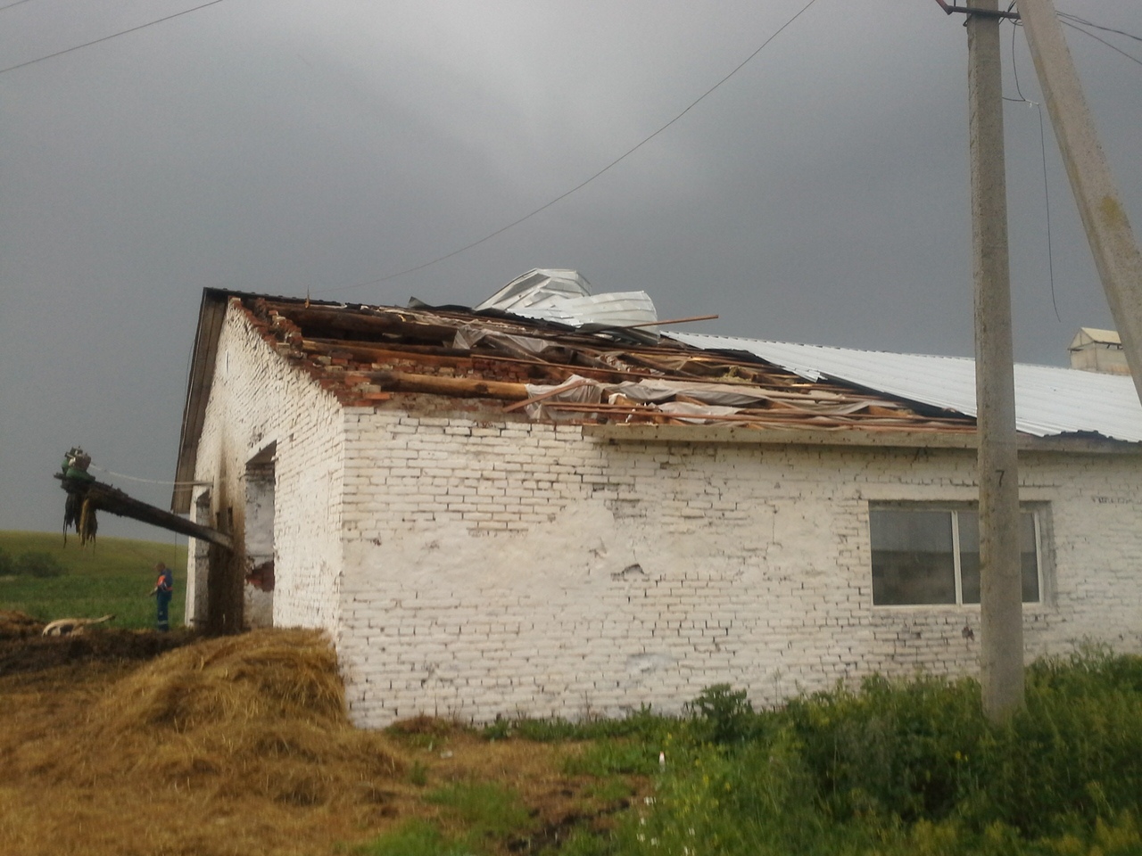 Последствия урагана: на ферме Татарстана от удара тока погибли 57 коров (ФОТО)