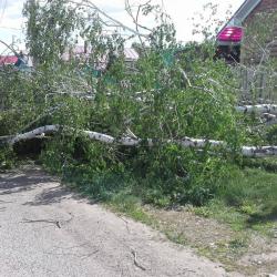 Сотни поваленных деревьев, миллионный ущерб: последствия урагана в Казани (ФОТО)