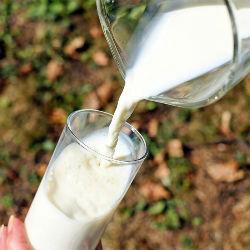 В Татарстане остановилось снижение закупочных цен на молоко‍