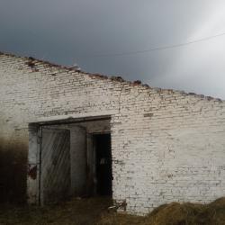 Последствия урагана: на ферме Татарстана от удара тока погибли 57 коров (ФОТО)