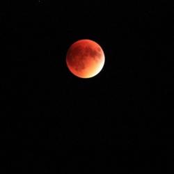 Затмение, «кровавая» Луна и противостояние Марса: чем удивит этим летом небесная канцелярия